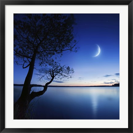 Framed Silhouette of a lonely tree in a lake against a starry sky and moon Print