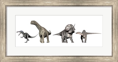 Framed Left to Right: Suchomimus, Argentinosaurus, Zuniceratops, Dicraeosaurus Print