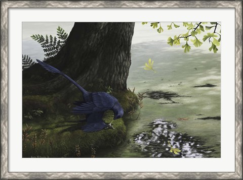 Framed Microraptor gui eating a small fish Print