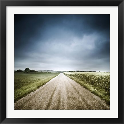 Framed Country road through fields, Denmark Print