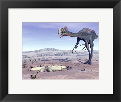 Framed Female Gigantoraptor dinosaur walking to its nest full of eggs Print