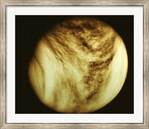 Framed Venus - tan Print