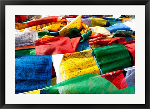 Framed Prayer flags, Namshangla Pass, Ladakh, India Print