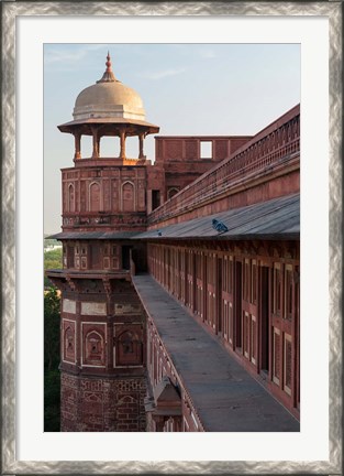 Framed Two pigeons sit on the roof&#39;s ledge, Agra fort, India Print