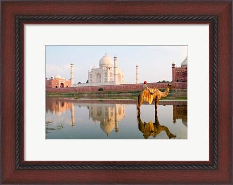 Framed Young Boy on Camel, Taj Mahal Temple Burial Site at Sunset, Agra, India Print