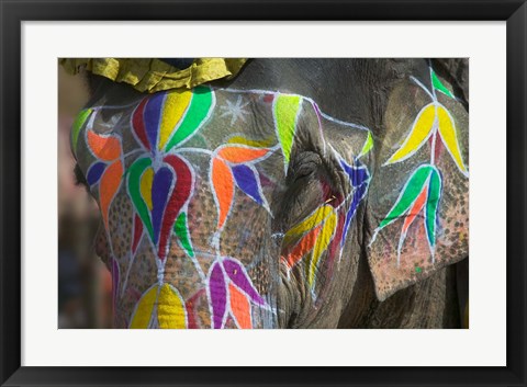 Framed Elephant Decorated with Colorful Painting, Jaipur, Rajasthan, India Print