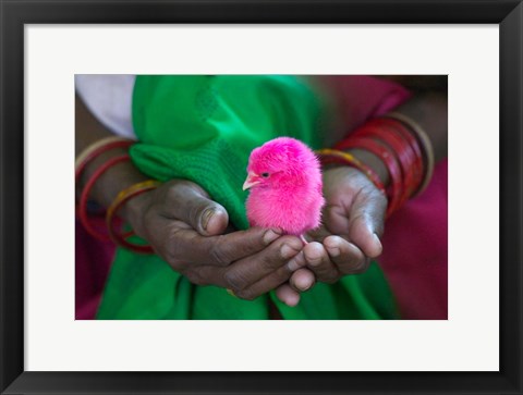 Framed Woman and Chick Painted with Holy Color, Orissa, India Print