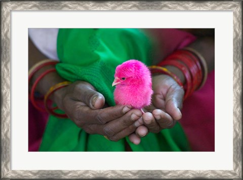 Framed Woman and Chick Painted with Holy Color, Orissa, India Print