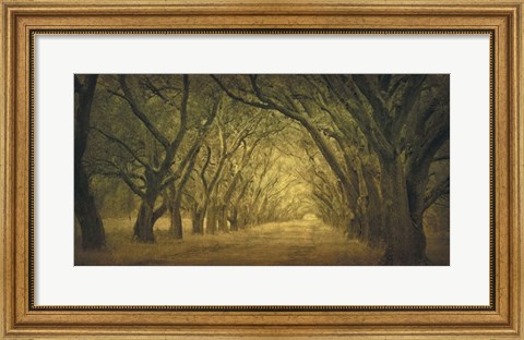Framed Evergreen, New Alley, Right Side Print