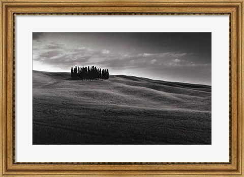 Framed Cypresses and Rolling Hills Print
