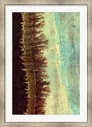 Framed Lichen I Print