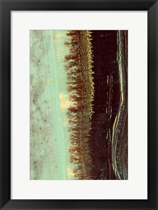 Framed Lichen II Print
