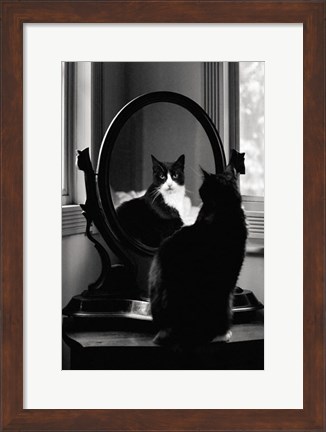 Framed Reflection Print
