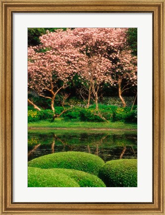 Framed Reflecting Pond, Imperial Palace East Gardens, Tokyo, Japan Print