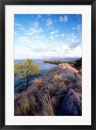 Framed Indonesia, Lesser Sunda Archipelago, Sape Straight Print