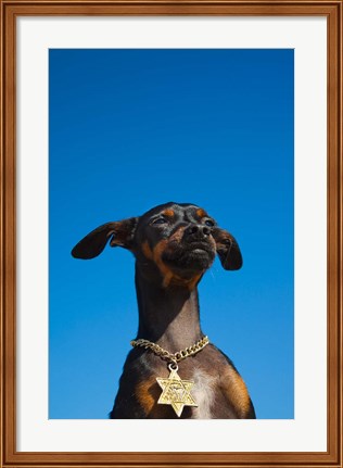 Framed Israel, Tel Aviv, Dog, Jewish Star of David medallion Print