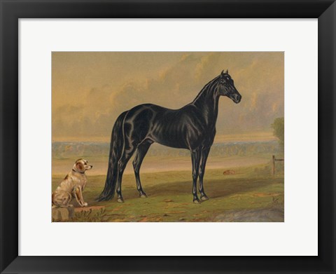 Framed America&#39;s Renowned Stallions, c. 1876 I Print