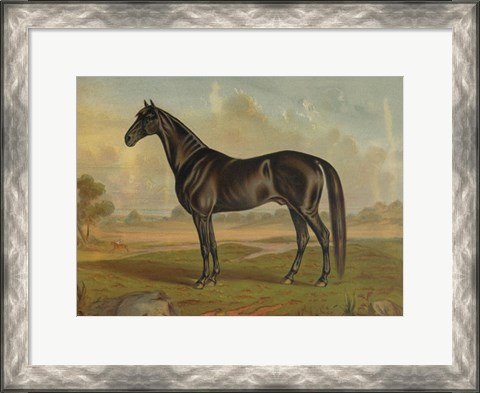 Framed America&#39;s Renowned Stallions, c. 1876 II Print