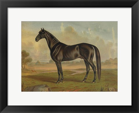Framed America&#39;s Renowned Stallions, c. 1876 II Print