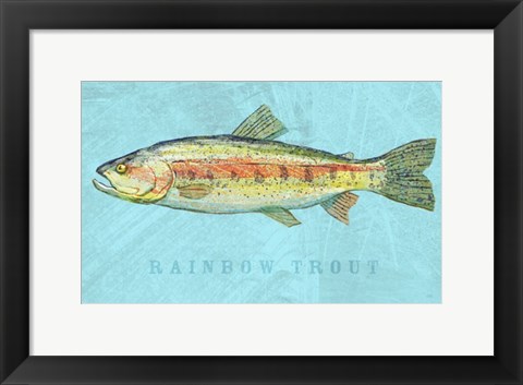 Framed Rainbow Trout Print