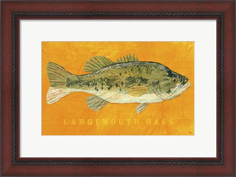 Framed Largemouth Bass Print