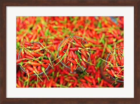Framed Hot Chili, Semporna, Borneo, Malaysia Print