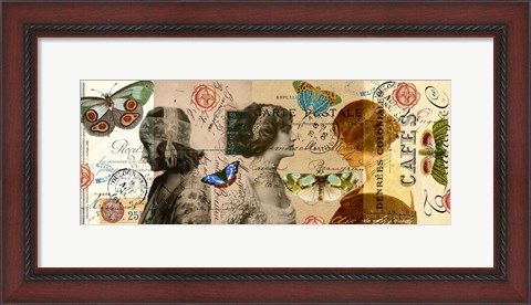 Framed Butterfly Beauties Print