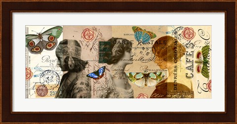 Framed Butterfly Beauties Print