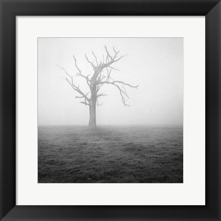 Framed Misty Weather II Print
