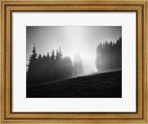 Framed Misty Weather III Print