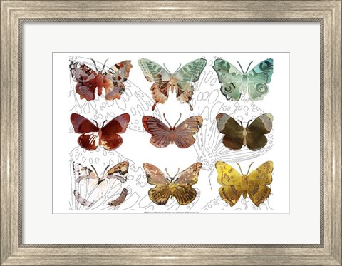 Framed Layered Butterflies II Print