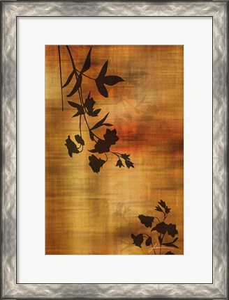 Framed Sepia Floral II Print