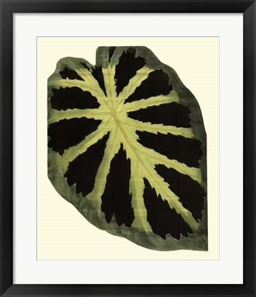 Framed Grandiose Leaves III Print