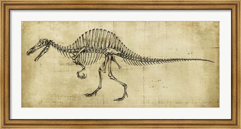 Framed Spinosaurus Study Print