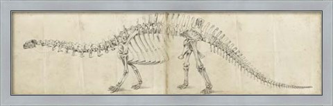 Framed Dinosaur Study I Print
