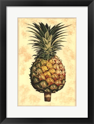 Framed Pineapple Splendor I Print