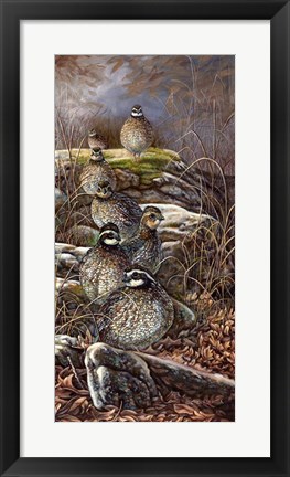 Framed Quail Trail Print