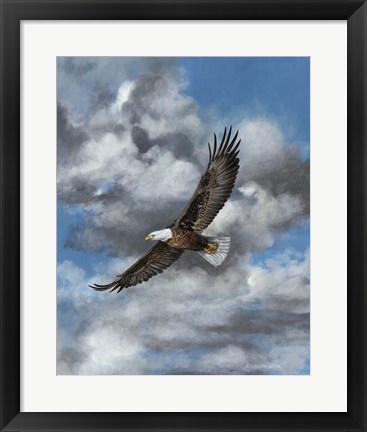 Framed Soaring Print