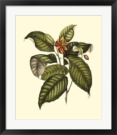 Framed Magnificent Foliage IV Print