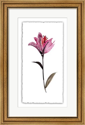 Framed Floral Watercolor II Print