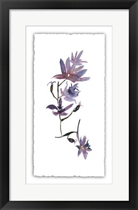 Framed Floral Watercolor IV Print