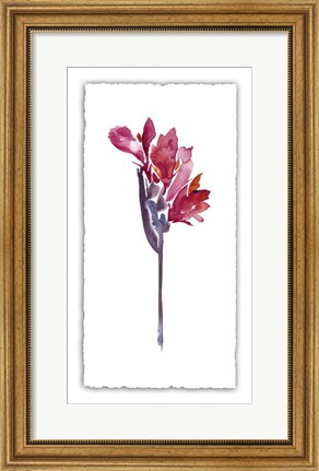 Framed Floral Watercolor V Print