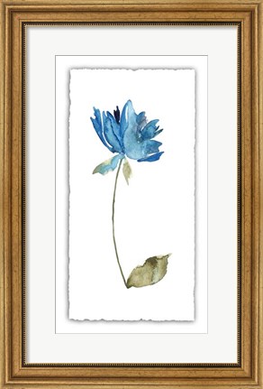 Framed Floral Watercolor VI Print