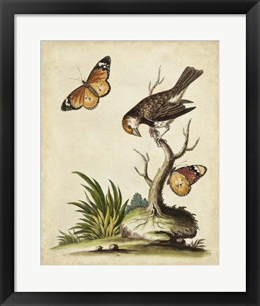 Framed Companions in Nature II Print