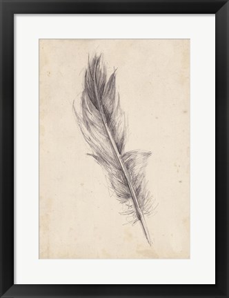 Framed Feather Sketch IV Print