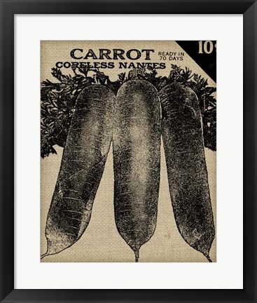 Framed Vintage Seed Pack II Print