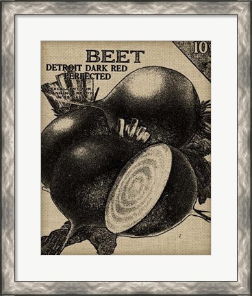 Framed Vintage Seed Pack III Print