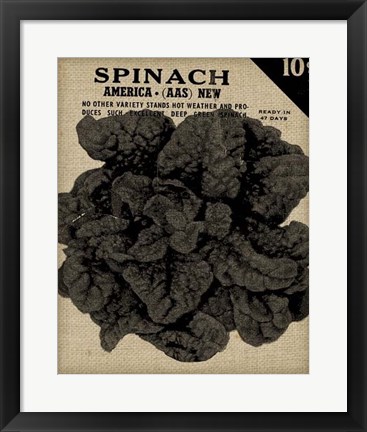 Framed Vintage Seed Pack VI Print