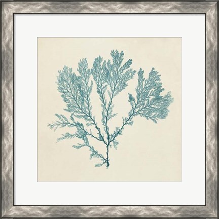 Framed Chromatic Seaweed VIII Print