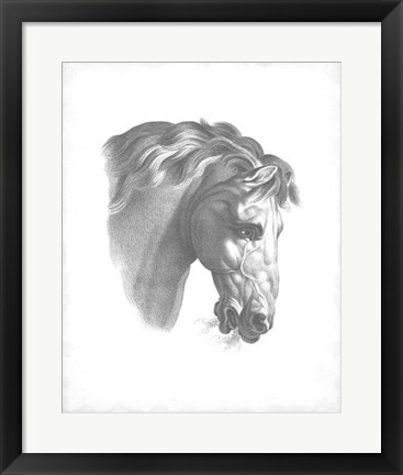Framed Equestrian Blueprint IV Print